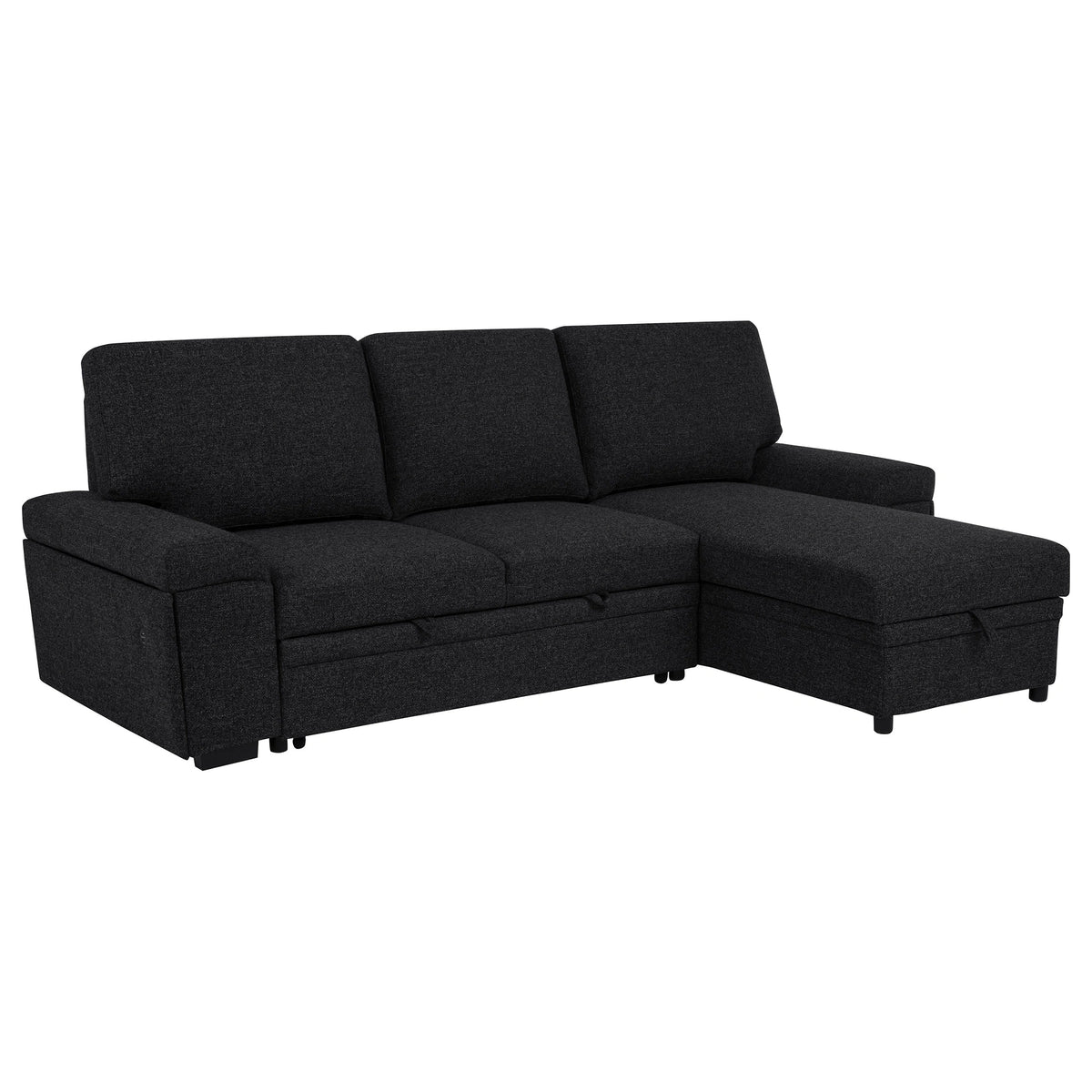 Demko Sleeper Sectional Sofa