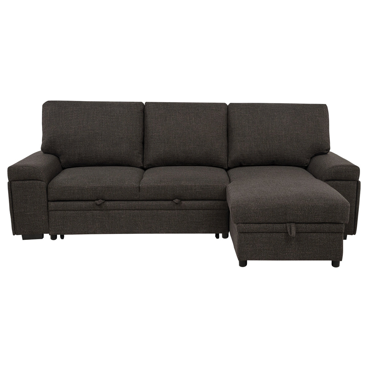 Demko Sleeper Sectional Sofa