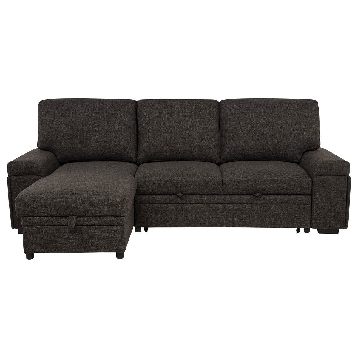 Demko Sleeper Sectional Sofa