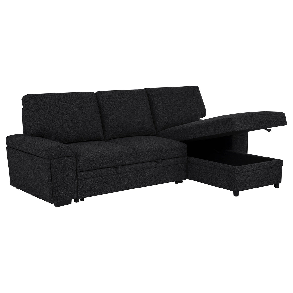 Demko Sleeper Sectional Sofa