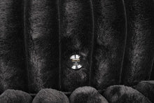 Cargar imagen en el visor de la galería, Tavedestrand Double Chaise Sofa