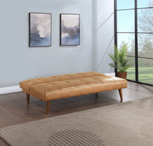 Load image into Gallery viewer, Jenson Convertible Sofa Bed