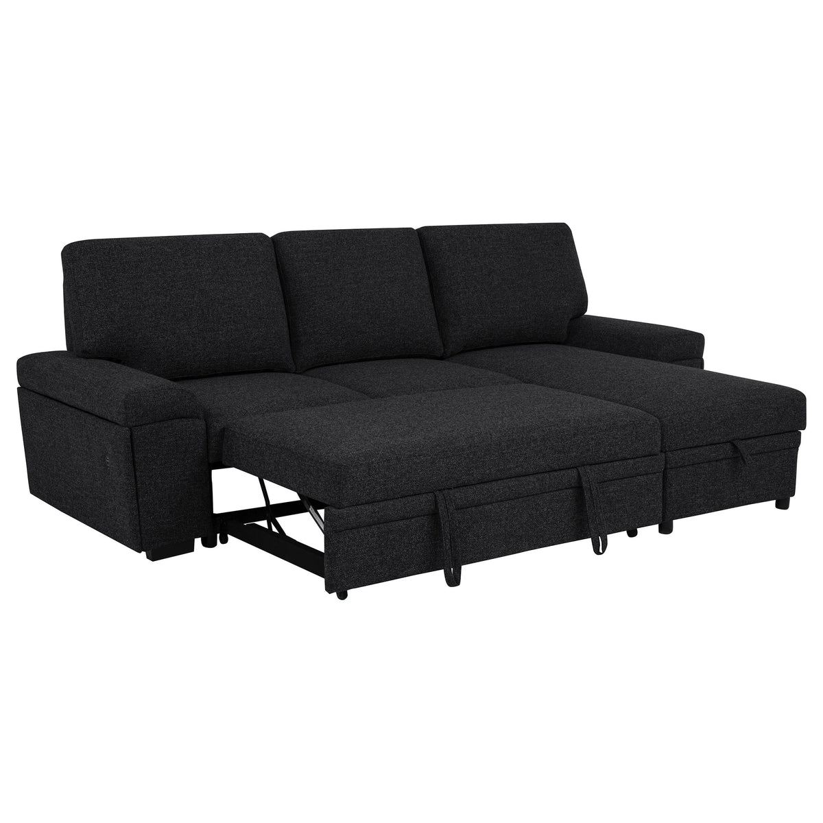 Demko Sleeper Sectional Sofa