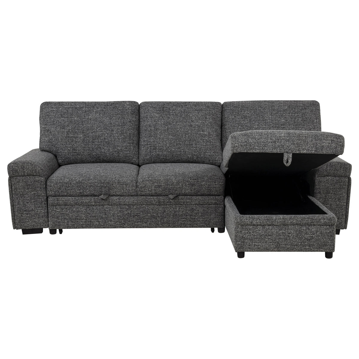 Demko Sleeper Sectional Sofa