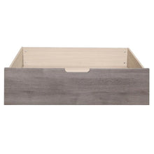 Cargar imagen en el visor de la galería, Woodrow Twin/Full Toy Box (1 Set) in Gray 2042NB-TFT