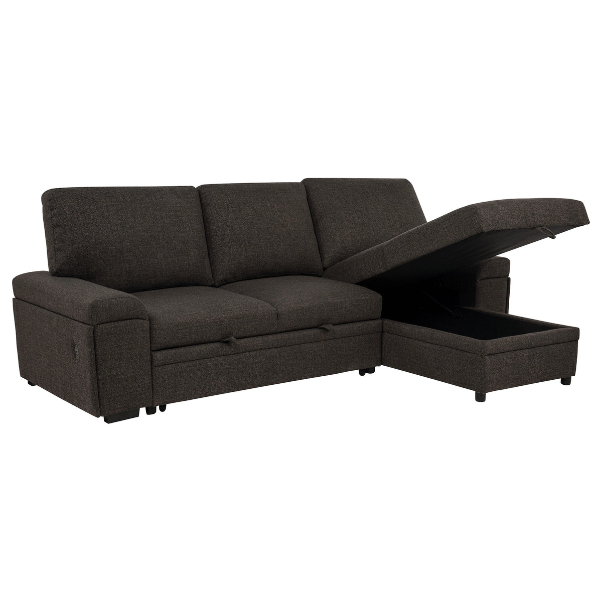 Demko Sleeper Sectional Sofa