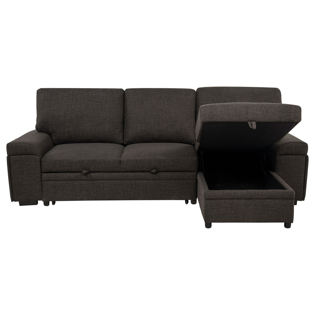 Demko Sleeper Sectional Sofa