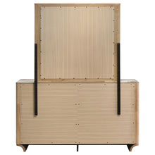 Load image into Gallery viewer, Leanne Dresser and Mirror
