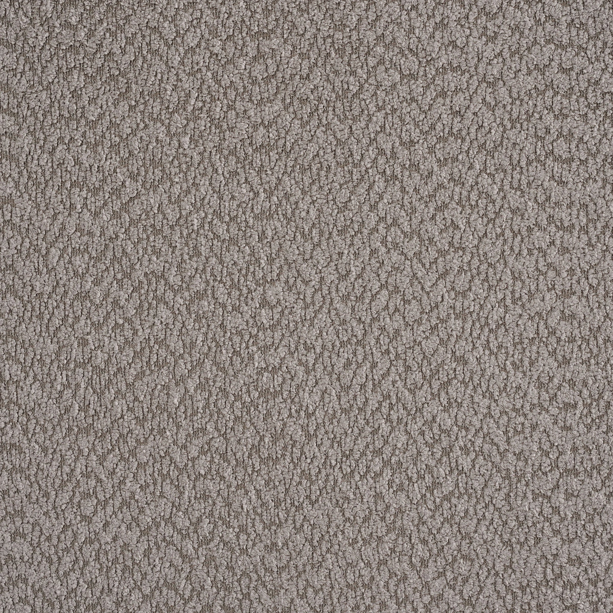 Catkin Bedroom