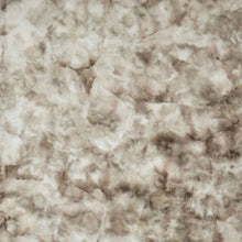 Load image into Gallery viewer, Famalica Area Rug