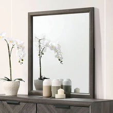 Load image into Gallery viewer, VAGAN Mirror