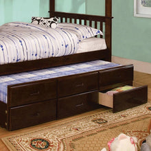Load image into Gallery viewer, University Twin Trundle w/ 3 Drawers