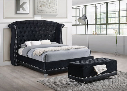 COA300643 - Barzini Black Upholstered Bed